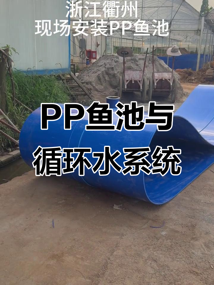 高密度养殖循环水设备现场安装,PP鱼池打造高效水产环境