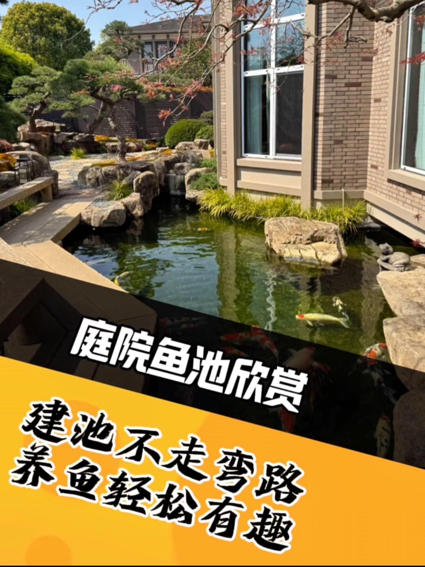 这是业主的第三个鱼池,院子也是做了三遍,这次总算是可以吧!效仿大自然,煦瑞生态水,建池不走