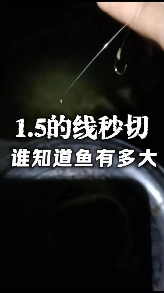 好久好久没切线了,昨晚被漓江的鱼上了一课,1.5秒切,这鱼到底有多大?