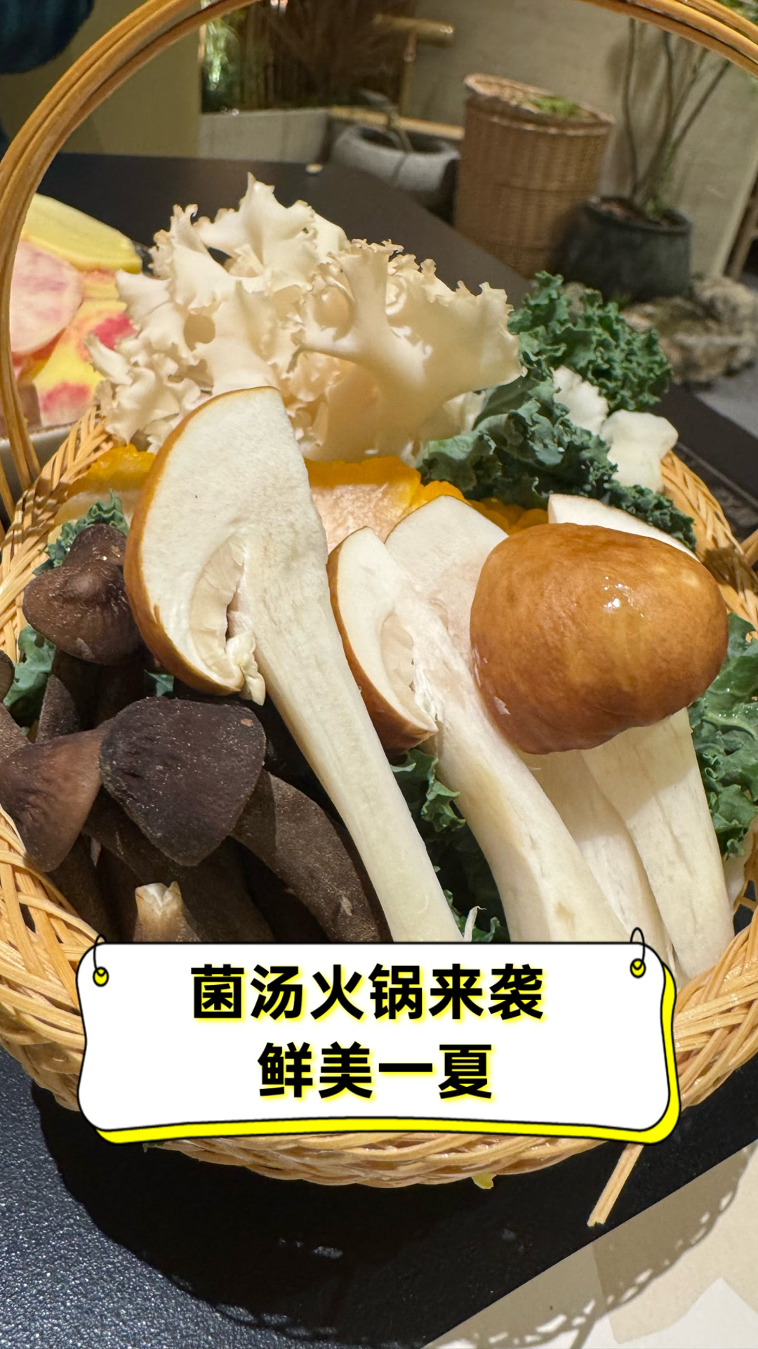 菌汤火锅来袭,鲜美一夏