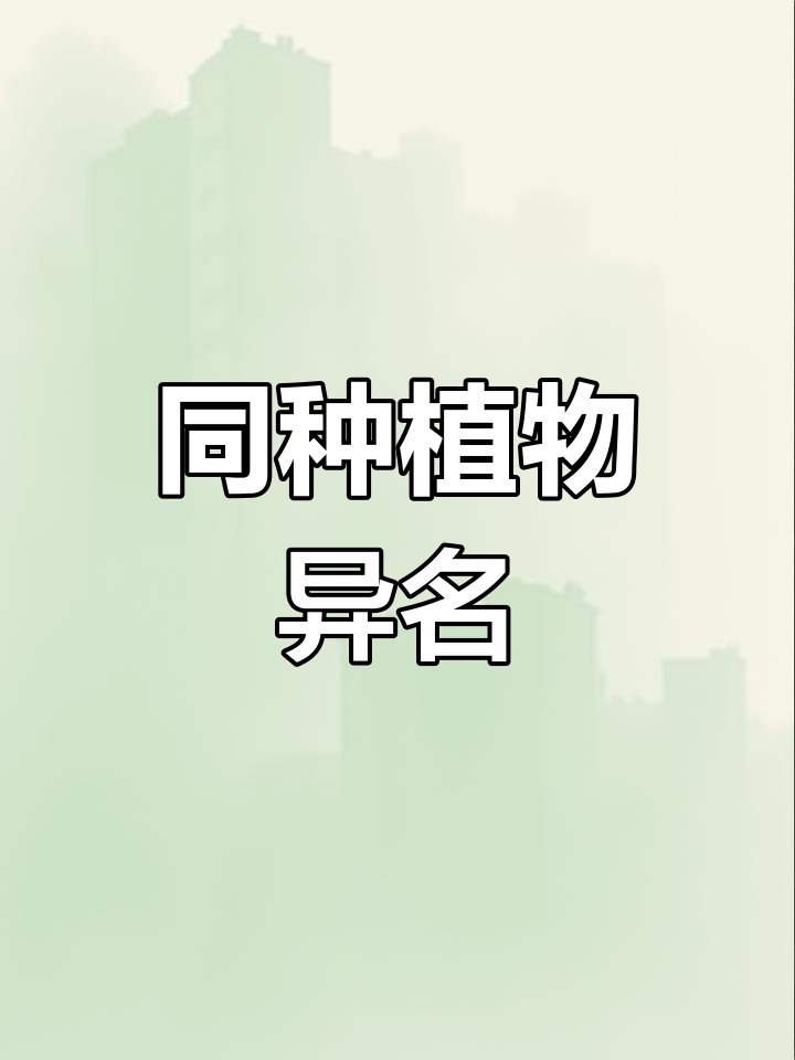 早开堇菜与紫花地丁同属,药效相同