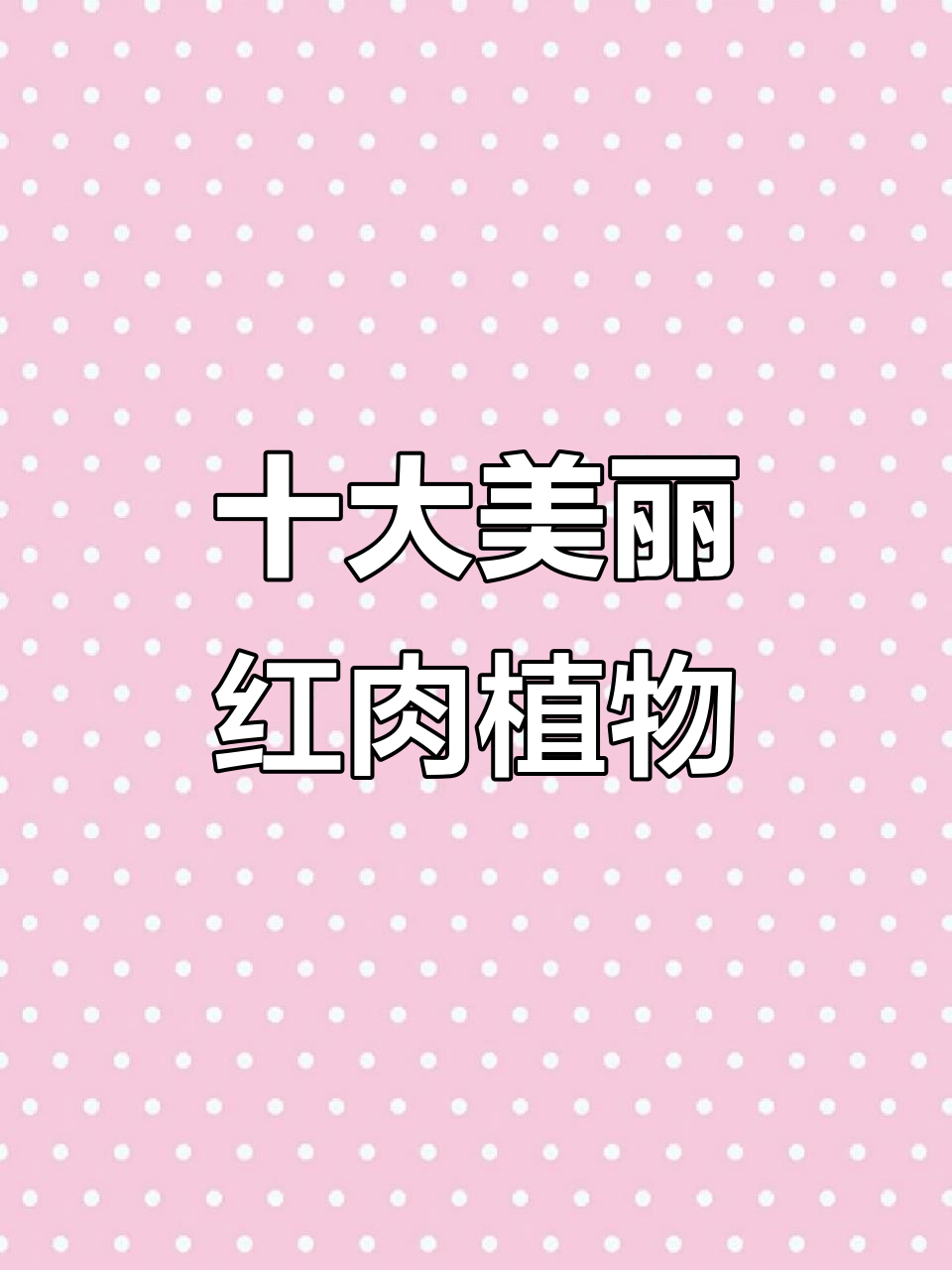 10种必看红色系多肉，颜值爆表！