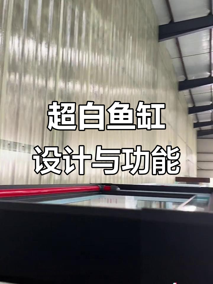 宝钻龙缸:超白玻璃与岩板设计,静音过滤系统全解析