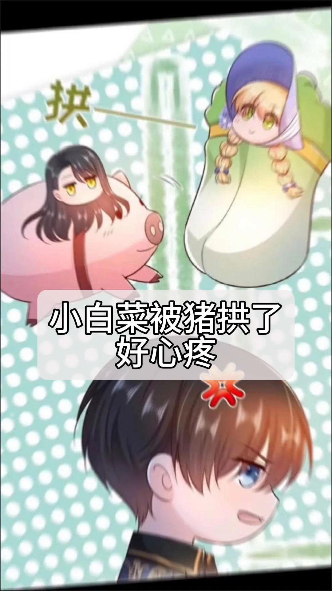 小白菜被猪拱了,好心疼!