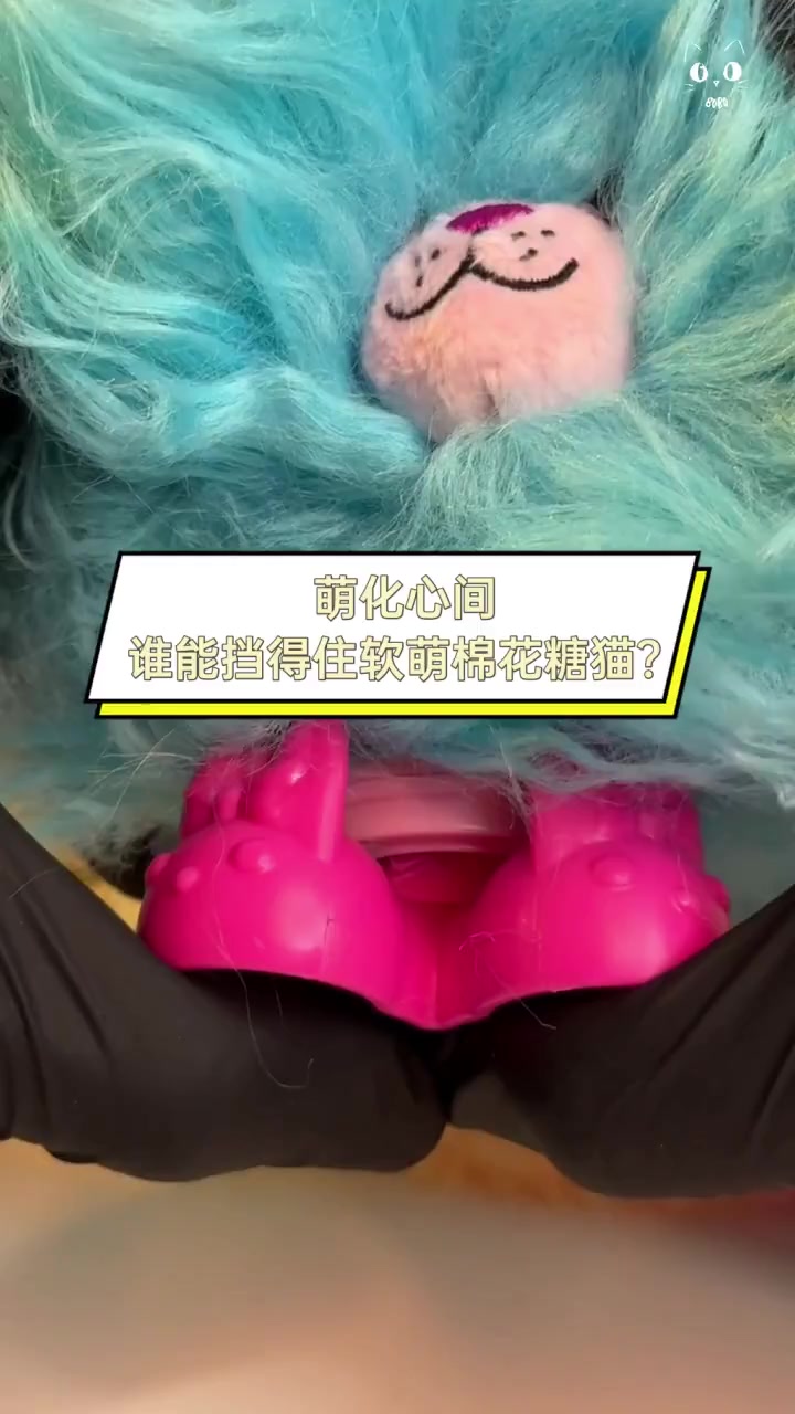萌化心间,谁能挡得住软萌棉花糖猫?
