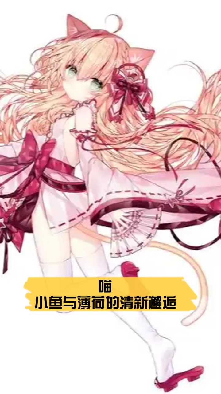 喵小鱼与薄荷的清新邂逅