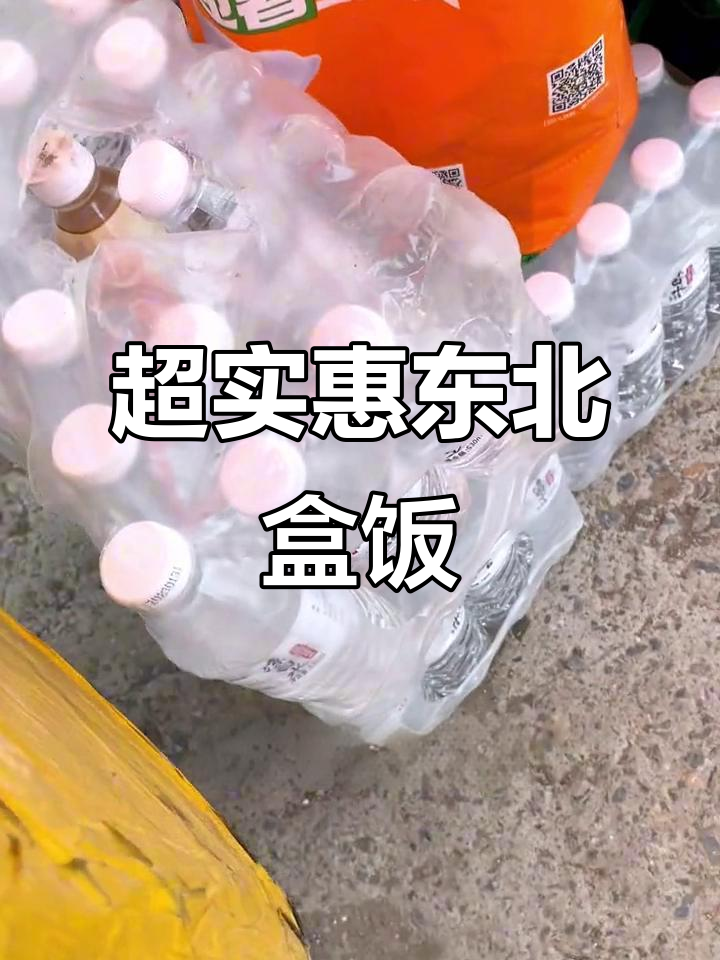 东北路边摊盒饭,12元超值套餐,肉段、红烧肉样样有