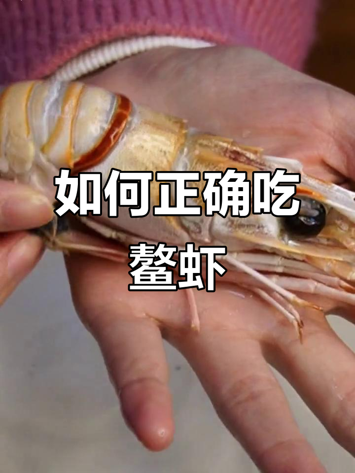 轻松学会吃鳌虾,步骤超简单!