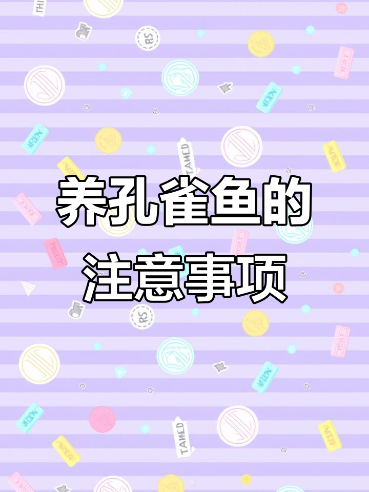 孔雀鱼养殖小技巧:如何避免水质问题,保持裸缸清洁