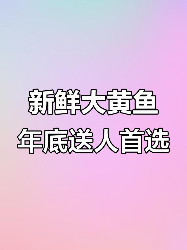 年底送礼佳选,活黄花鱼寓意深远,刺身品质更优