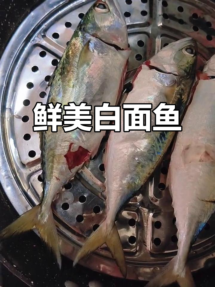 白面鱼清蒸,鲜美无比,季节正好,价格亲民!