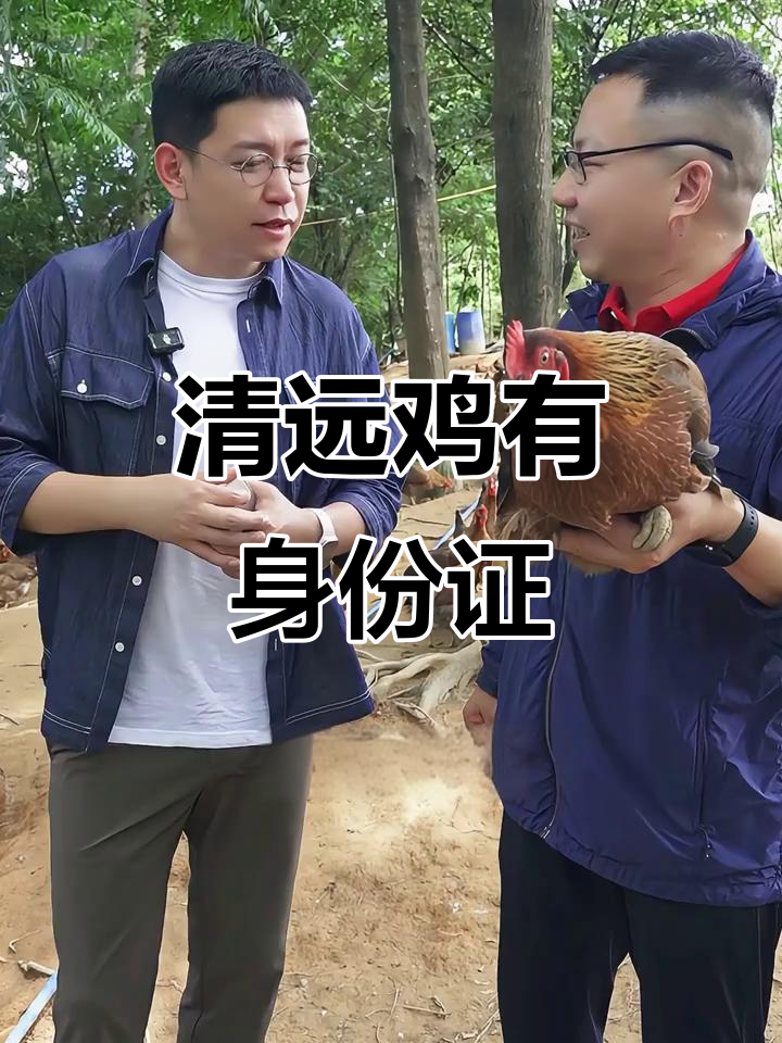 清远鸡如何拥有“身份证”？揭秘天农清远鸡的防伪标识