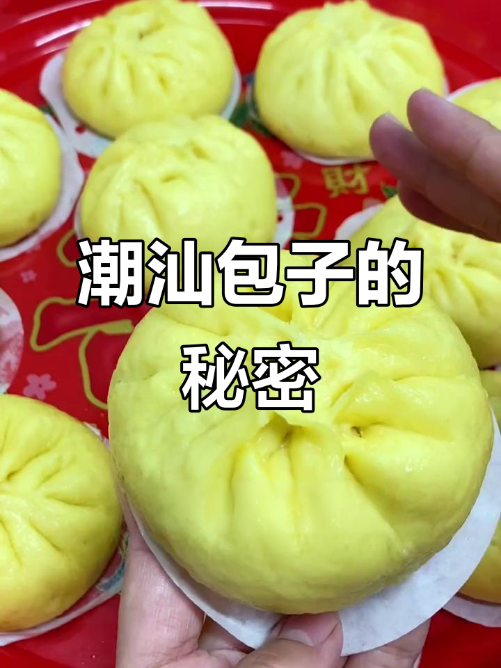 潮汕猪肉包子,简单美味,轻松上手!