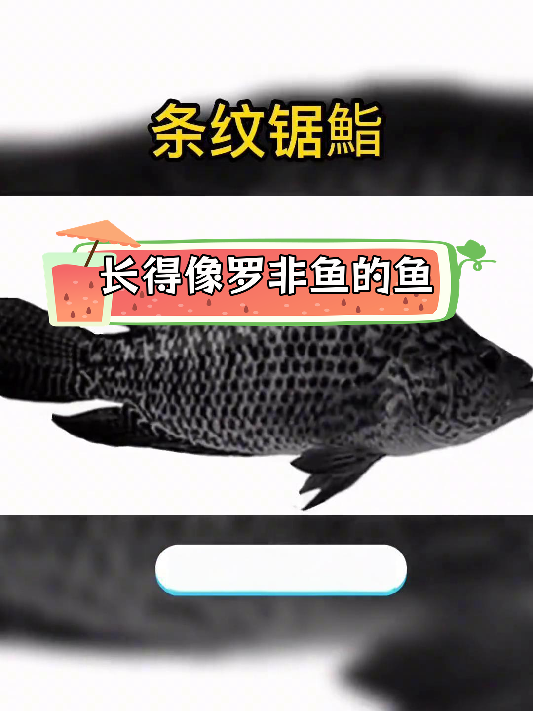 罗非鱼长得像谁?这6种淡水鱼你可能不知道