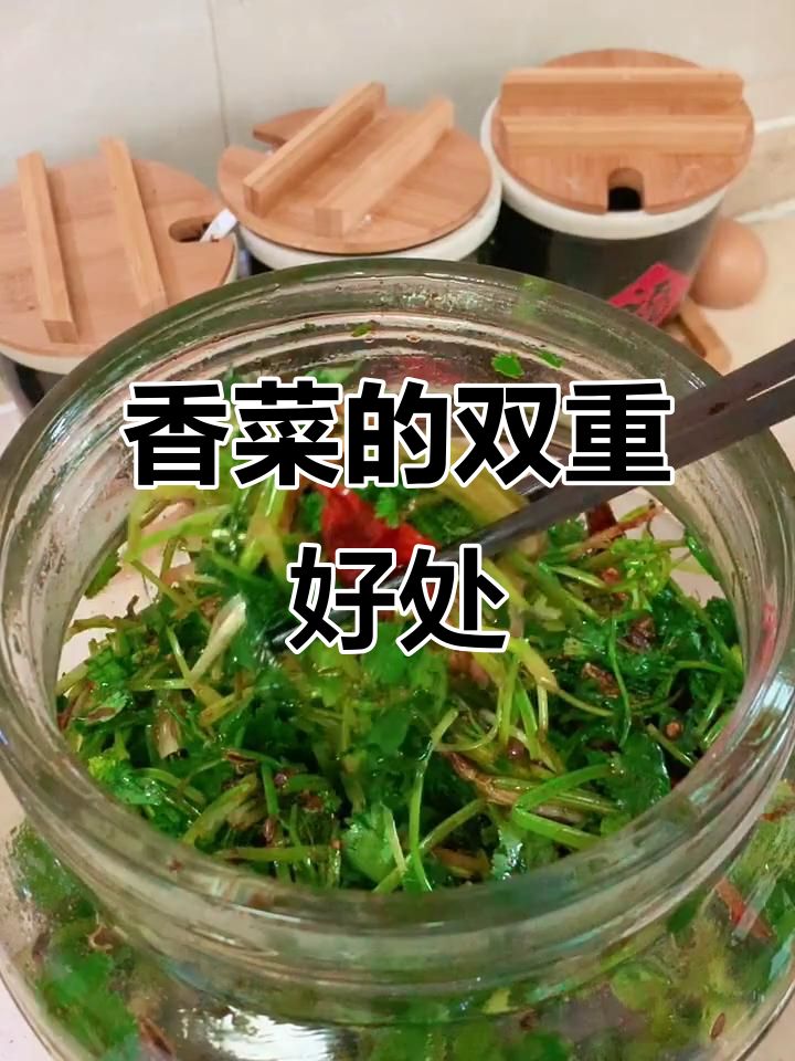 香菜不仅美味,还能预防感冒,根部的功效更令人惊喜!