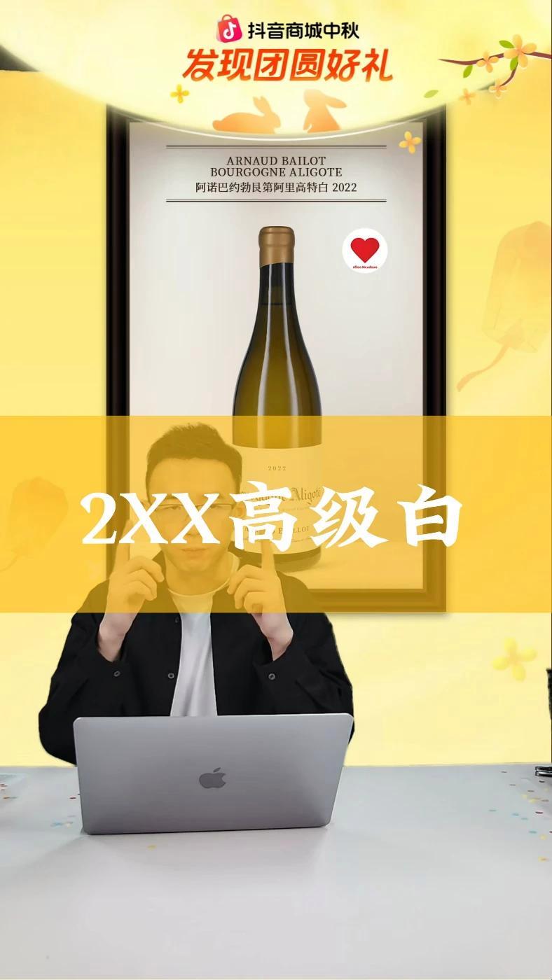 2XX高级白 葡萄酒 白葡萄酒 勃艮第 中秋