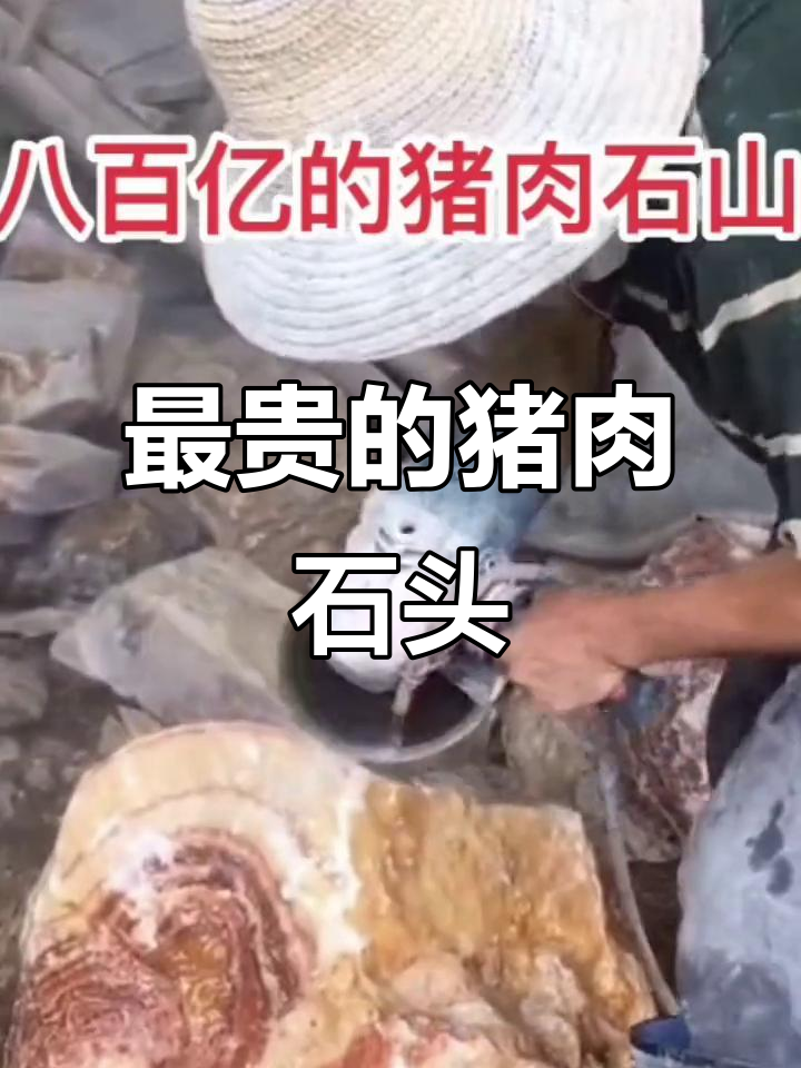 老人收藏的“猪肉”石头,竟被高价买走!