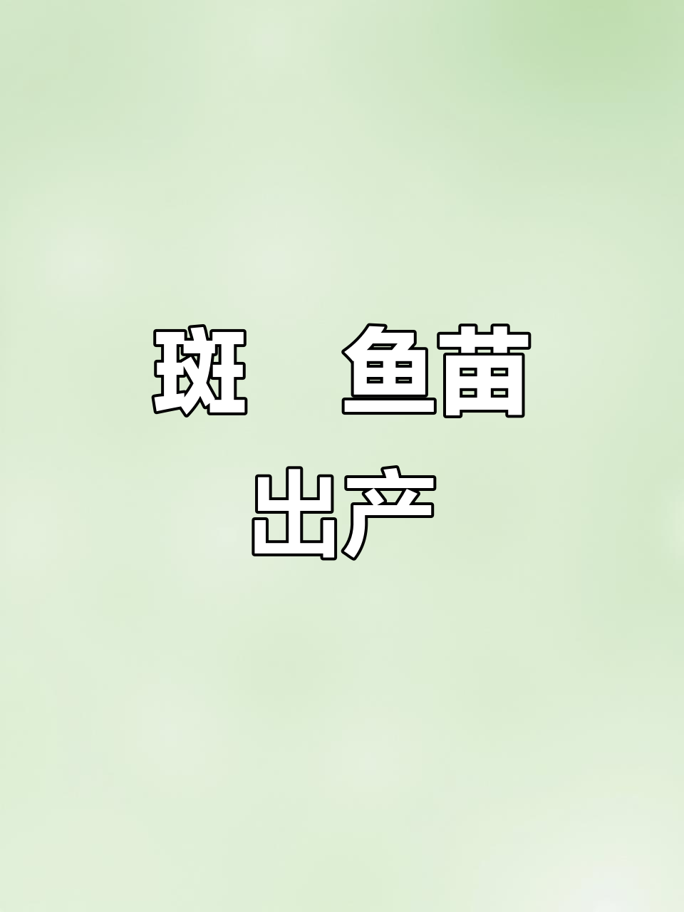 斑鳠（芝麻剑）鱼苗大量孵化，特种养殖新机遇