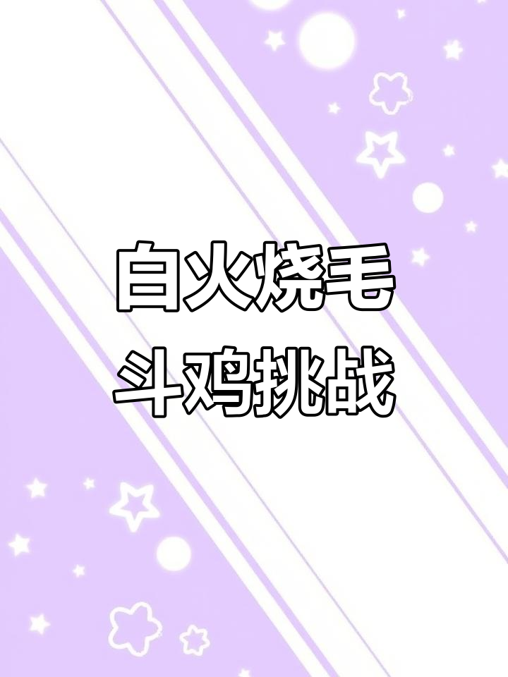 斗鸡场上的白火烧毛,激烈对决一触即发