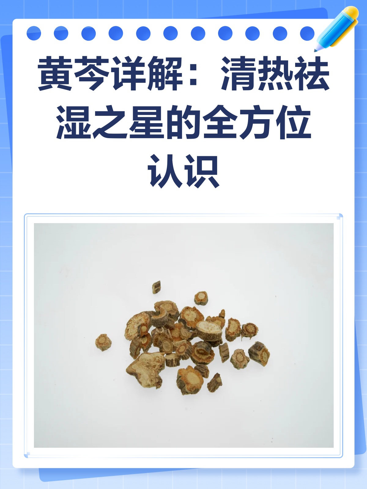 黄芩——清热祛湿的药材之星