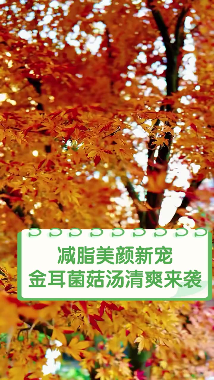 减脂美颜新宠,金耳菌菇汤清爽来袭