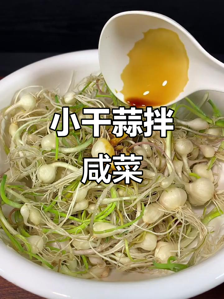 野山菜小干蒜拌咸菜的绝妙做法,简单又美味
