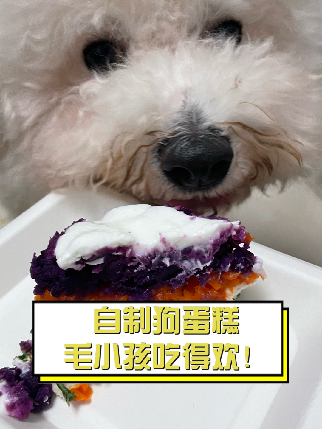 自制狗蛋糕,毛小孩吃得欢!