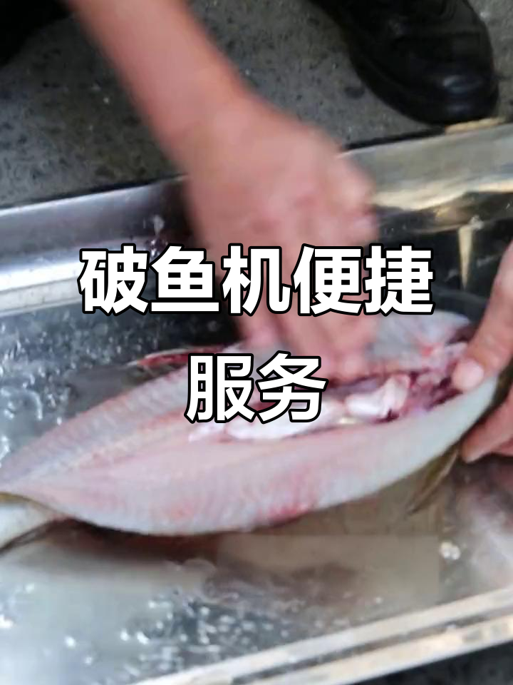 全自动破鱼机,轻松去鳞开背,师傅上门安装教学