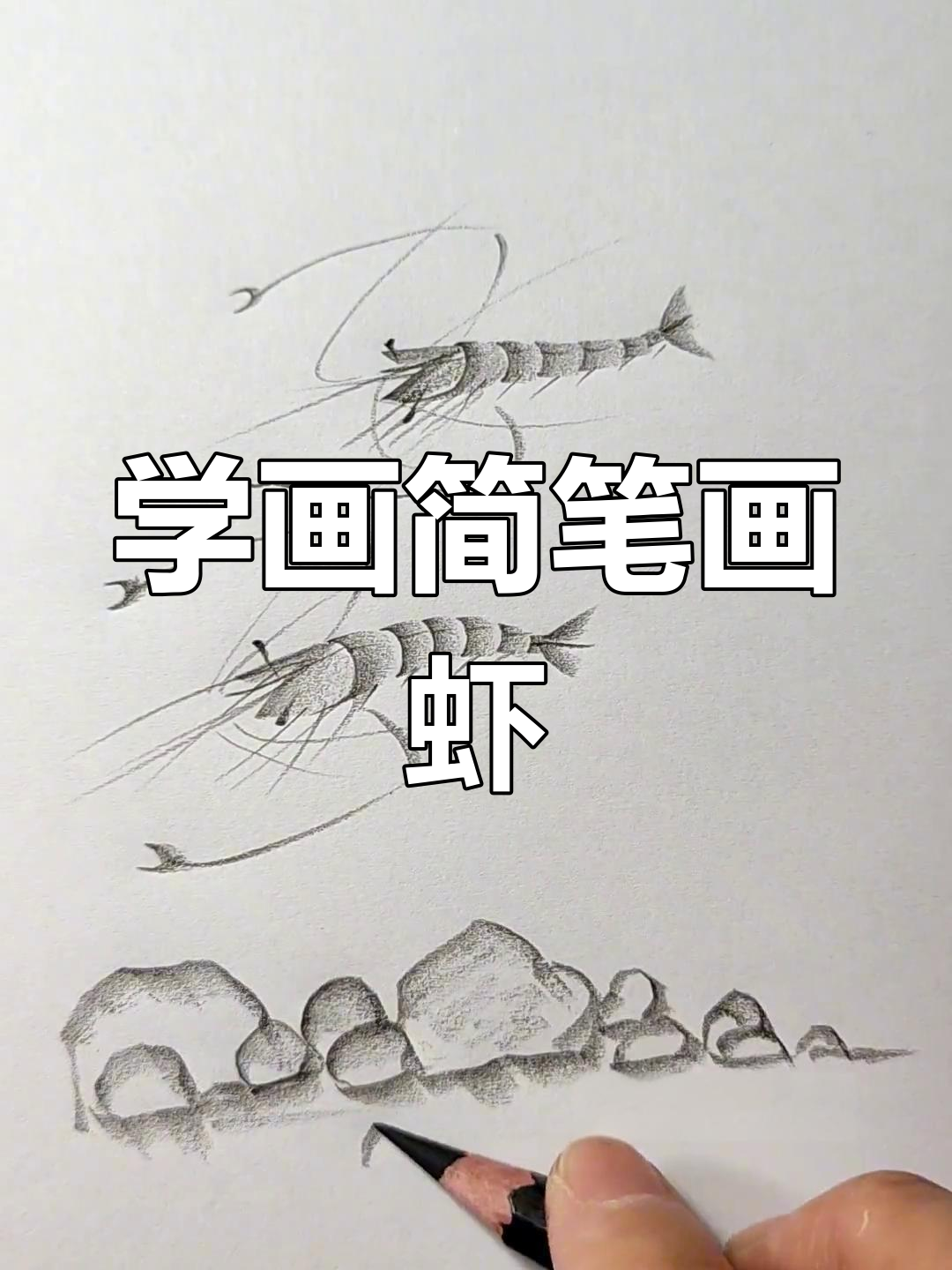 零基础学画虾,简单几步轻松掌握