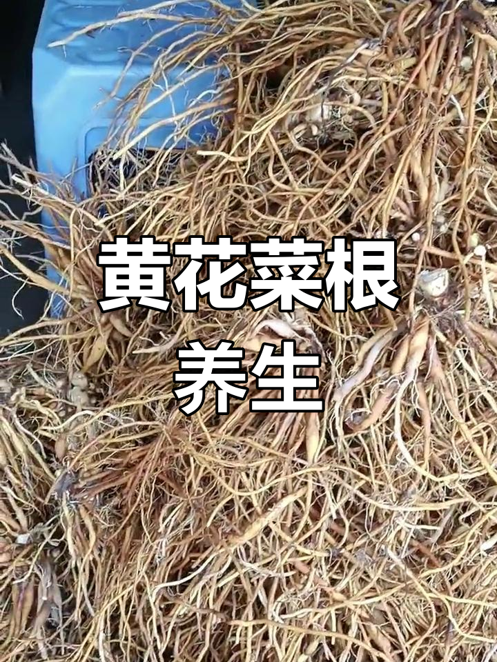 民间秘方:黄花菜根的滋补功效