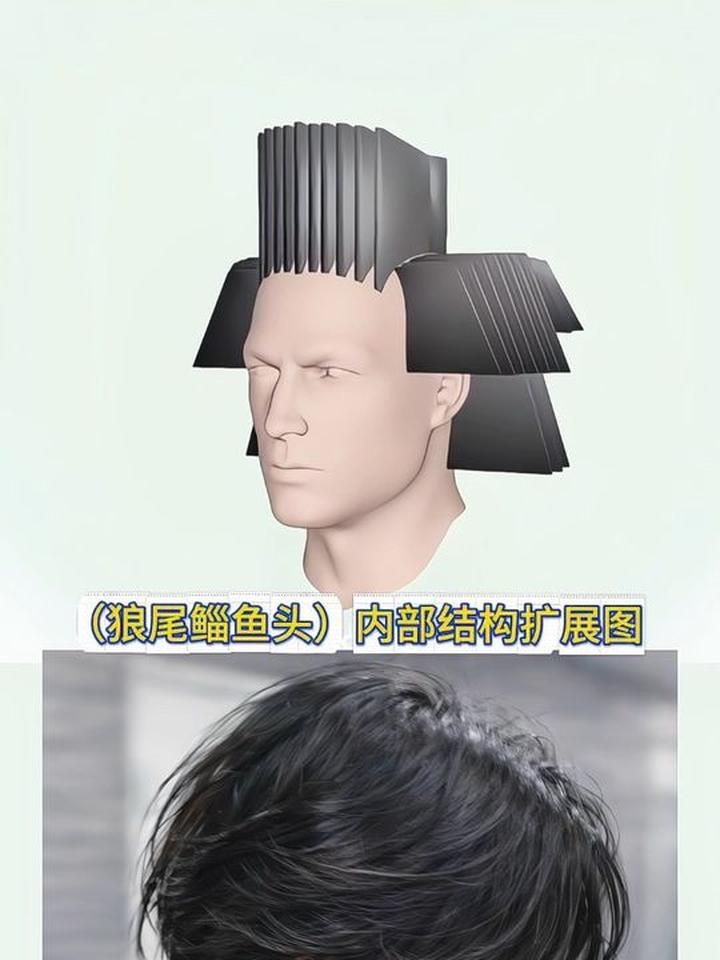狼尾鲻鱼头的内部结构扩展图