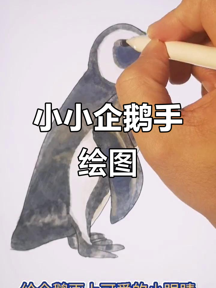 可爱企鹅手绘教程,步骤简单又有趣