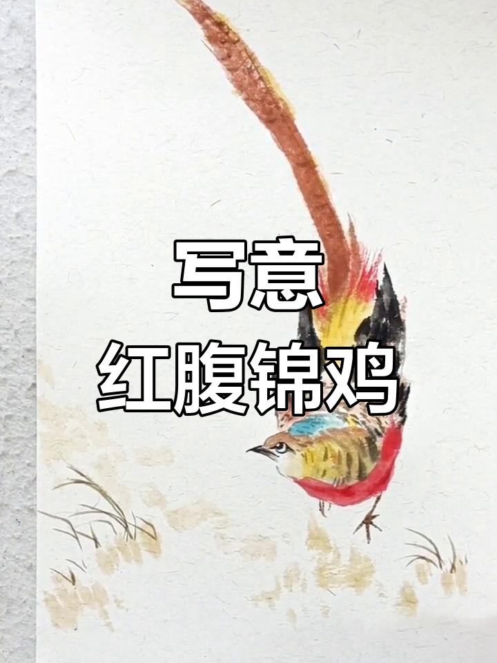 红腹锦鸡水墨画技巧解析