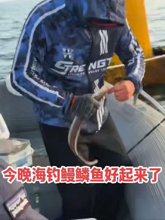 今晚海钓鳗鳞鱼好起来啦