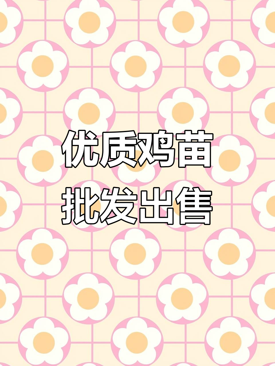 优质鸡苗批发，孵化厂直供新鲜小鸡仔