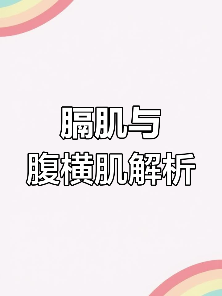 膈肌与腹横肌的解剖联系:核心稳定性关键