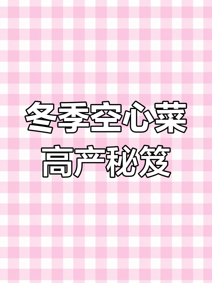 冬季空心菜种植秘诀,一亩地轻松收获上万斤!