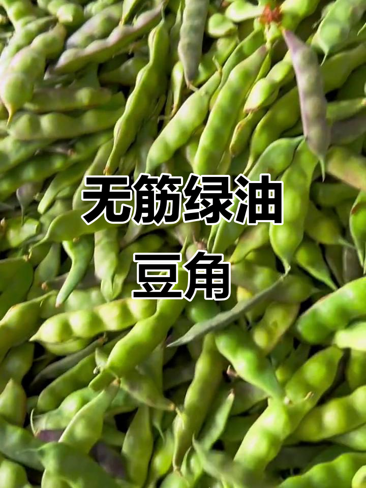 东北绿油豆角,无筋不柴,速冻保存冬天吃更美味