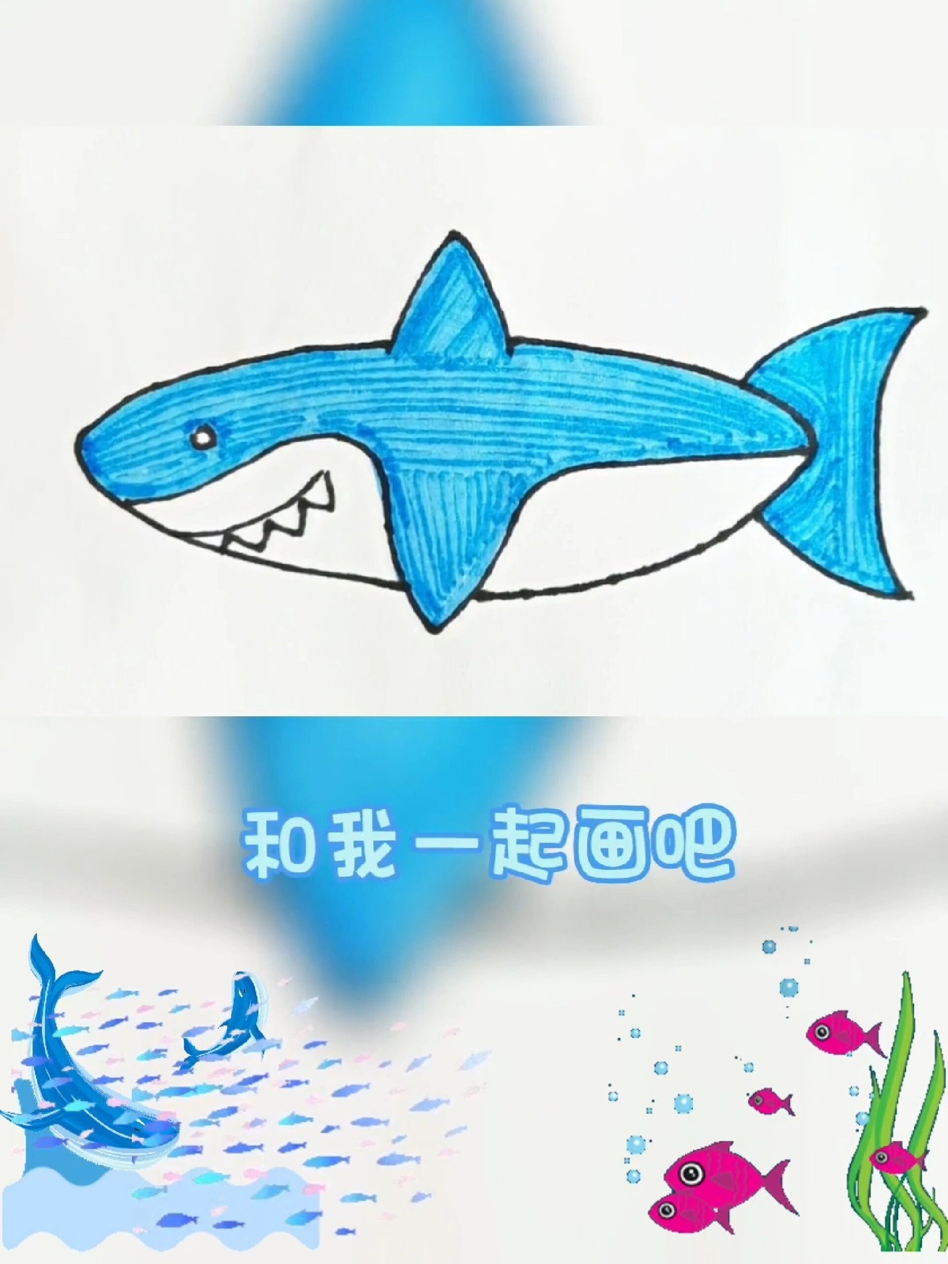 简笔画鲨鱼1-3岁幼儿画画 亲子画画