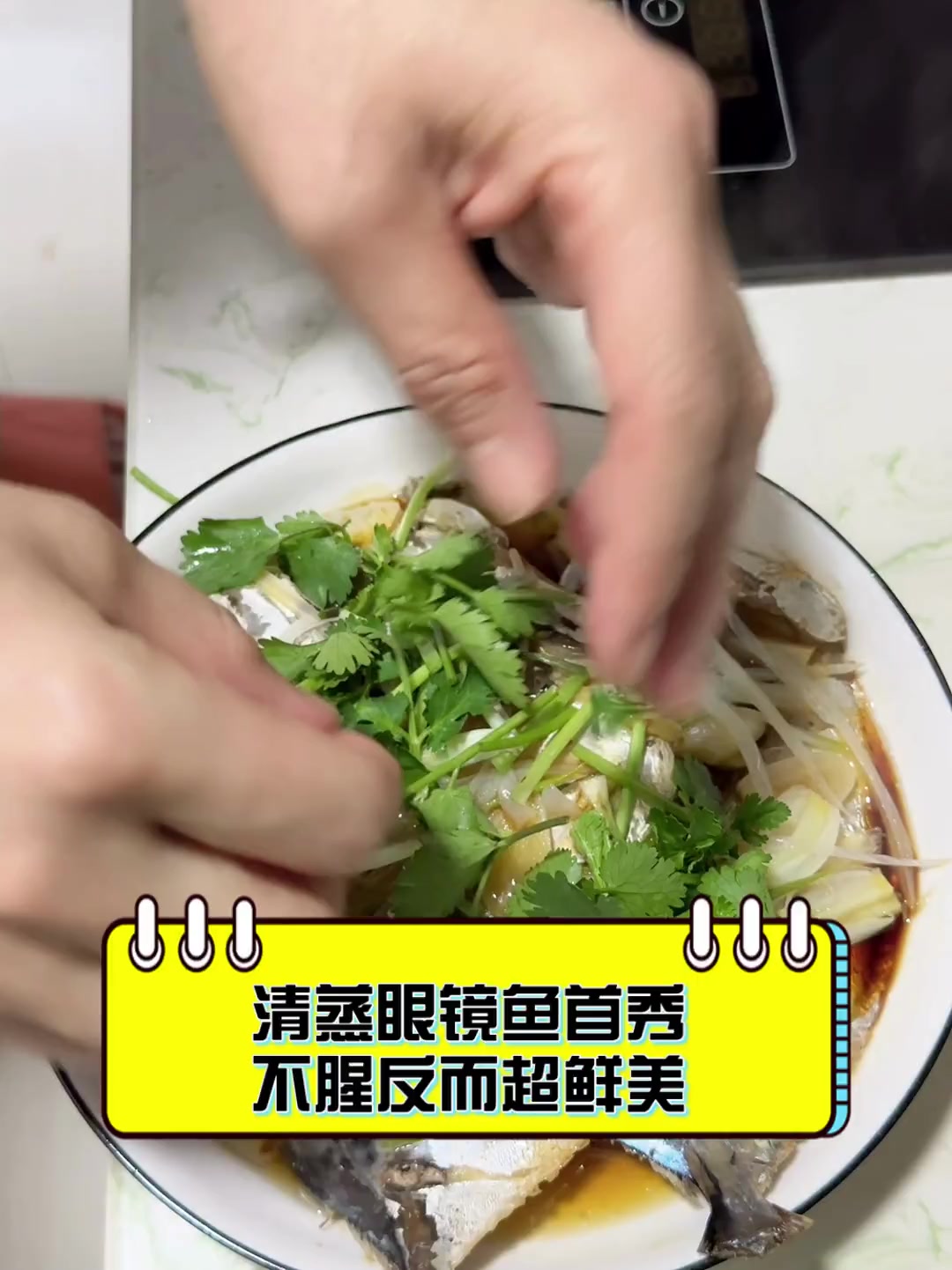 清蒸眼镜鱼首秀,不腥反而超鲜美