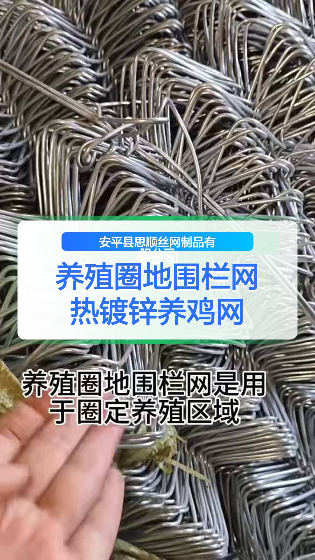养殖圈地围栏网 热镀锌养鸡网