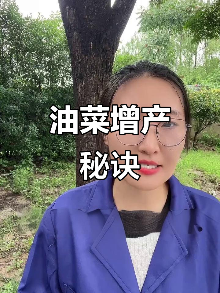 油菜种植前必做的一件事,灰肥助力高产不愁