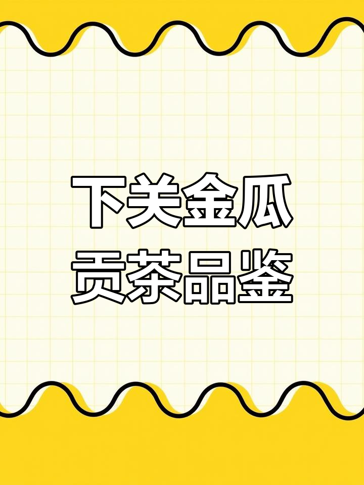 2013年下关金瓜贡茶评测：苦底重，回甘不明显