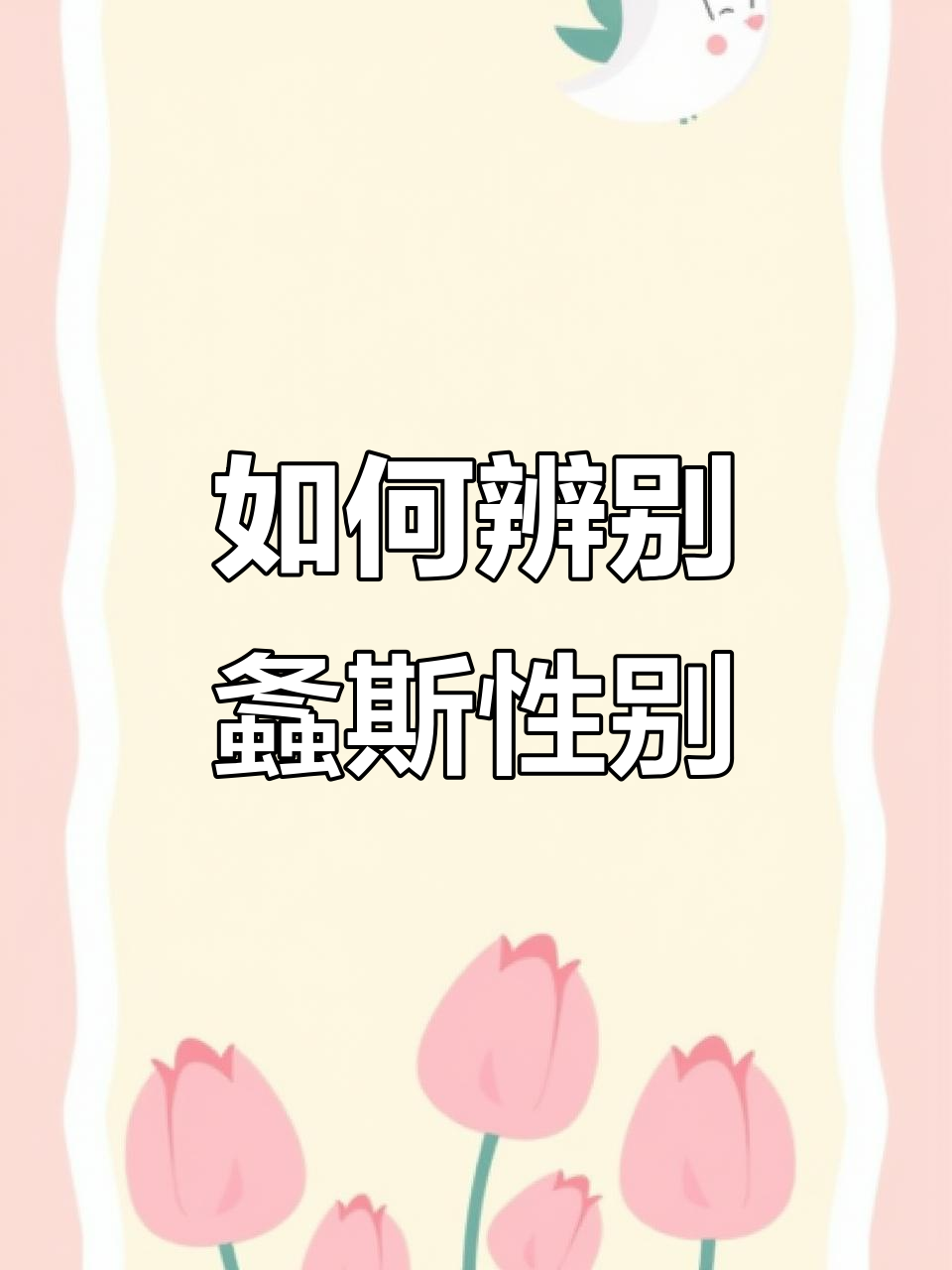 螽斯如何分辨公母?弟弟教你一招!