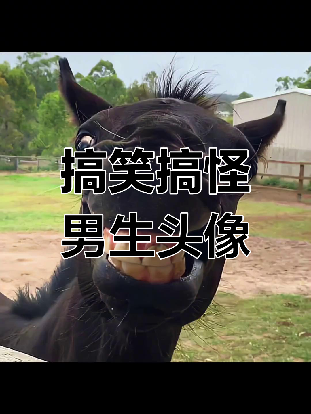 告别emo,搞怪头像来袭