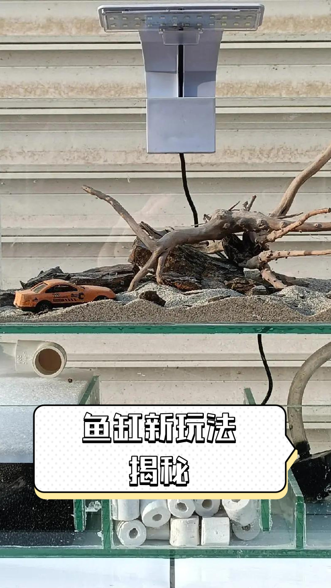 鱼缸新玩法揭秘