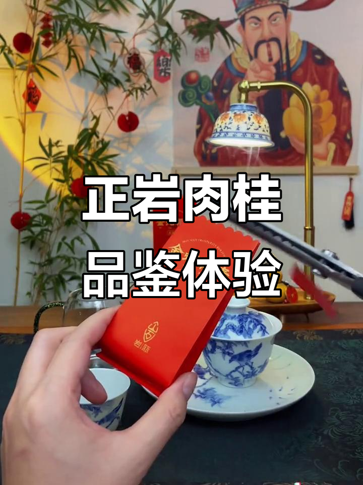 武夷岩茶金蛇报春,正岩肉桂的独特魅力
