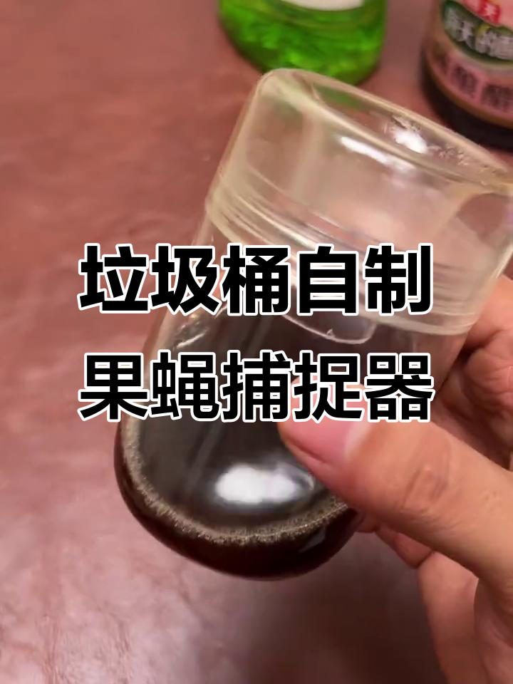 自制果蝇诱捕剂挑战:垃圾桶一晚上能抓多少只?
