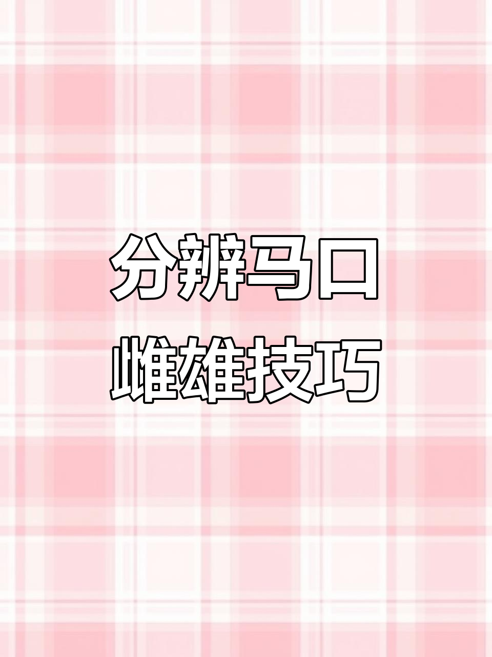 马口鱼公母如何区分?养殖选雄马口更合适