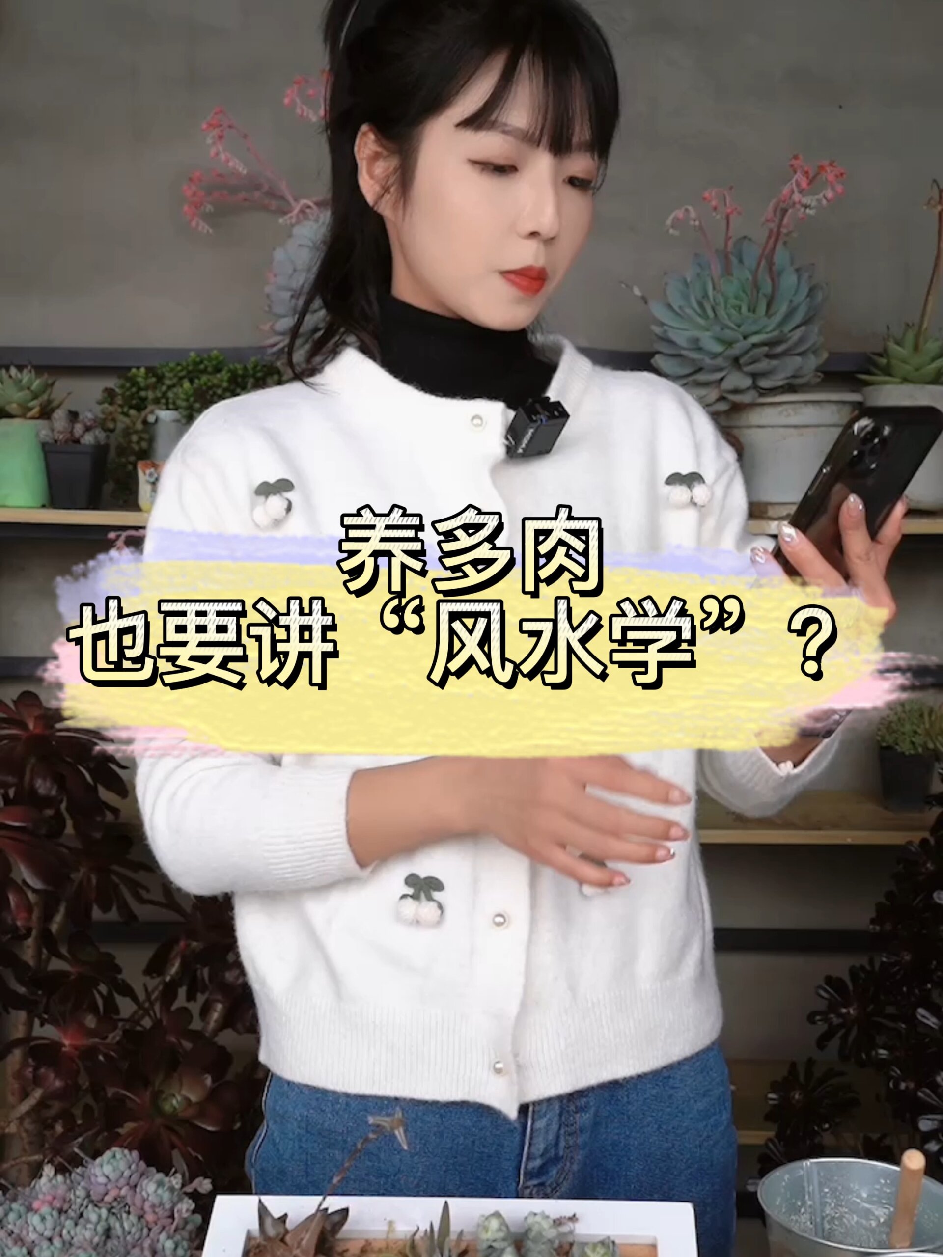 养多肉也要讲“风水学”?